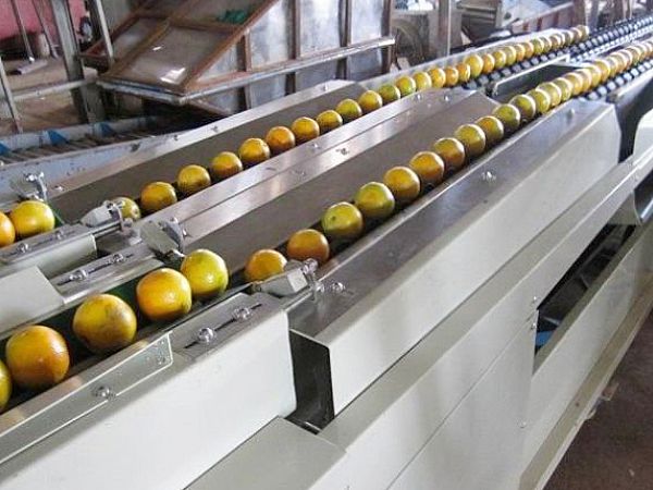 ʳƷ���߻�е��ҵ